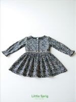 Bluezoo Frock - Image 2